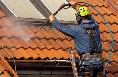 Démoussage et hydrofuge de toiture à Roiffé